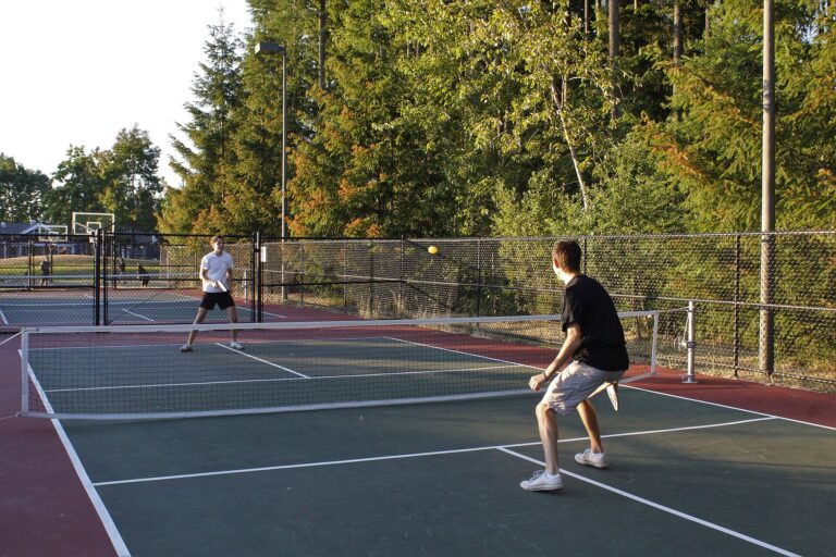 Pickleball Pros