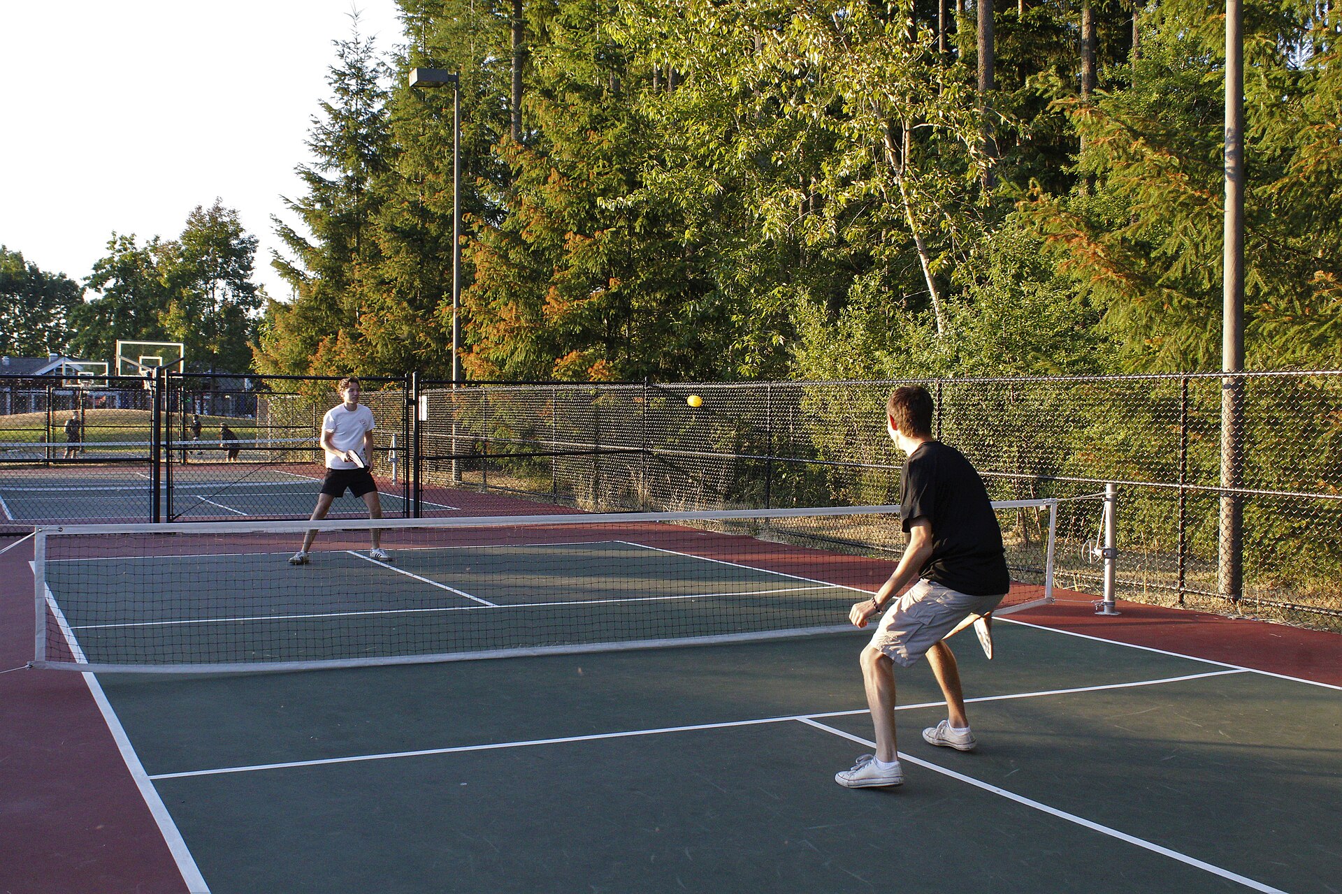 Pickleball Pros